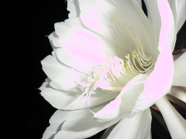 低学历女生吃香的十大职业，低学历女生适合的职业排名前十（女生最吃香的十大专业）