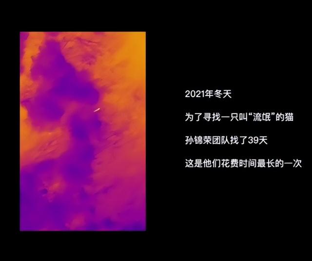 梦见整个房间东西全是白色的，梦见家里全是白色（曾花39天搜寻一只猫咪……“宠物侦探”你听过吗）