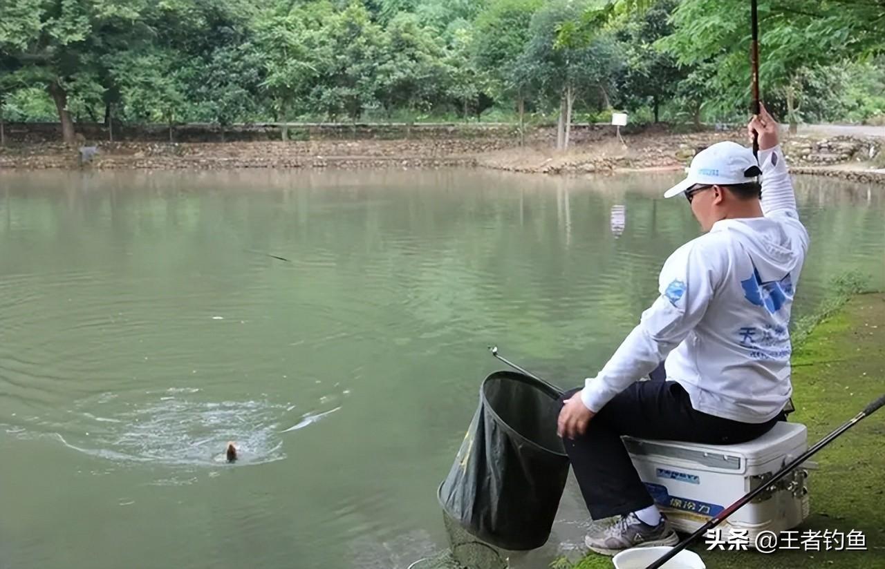 年入20万钓鱼网红排行榜揭晓，谁是吸金王？粉丝最爱的垂钓达人TOP10出炉