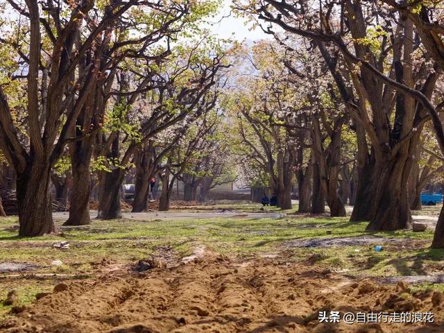 兰州旅游景点，郑州旅游景点排名前十名（兰州最值得去的五个景区）