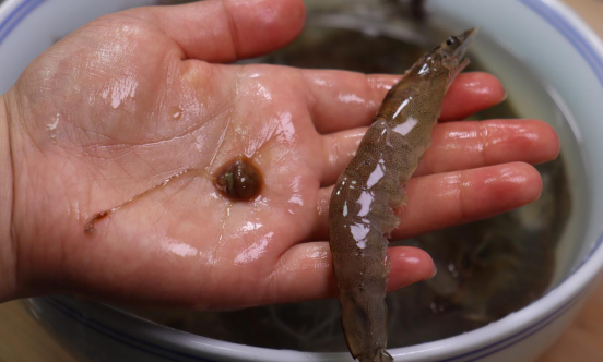 吃虾的季节是什么时候，这个季节吃什么虾（饭店老板：牢记6点）