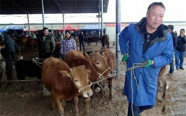 农村做什么生意赚钱，农村做什么小生意赚钱（三个不起眼却很暴利的小生意）