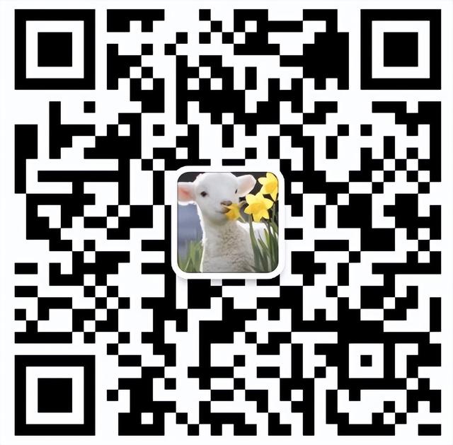 51去哪里旅游好，五一去哪玩（51去哪里旅游好玩又便宜）