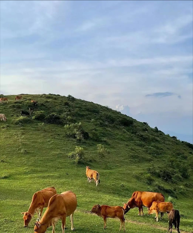 福州旅游必去十大景点，福建旅游必去十大景点有哪些（福州这13个宝藏地方）