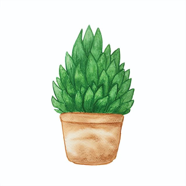 送姐姐实用的20个礼物推荐，送女人生日礼物前十件排名（姐姐过生日送什么手工礼物）