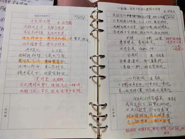 王者荣耀怎么观战好友，王者荣耀无法观战好友怎么办（舞台上告白的农民工火了）