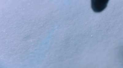 卡是什么意思网络用语污，女生说卡是什么意思（最稀有坐骑一年内再度返场）