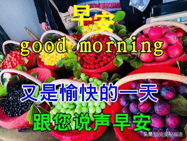 祝贺语大全，祝贺语怎么说（今日最新早上好表情大全）