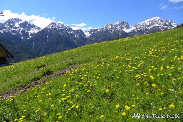后汉书班固传注释及翻译，国学经典之《后汉书》导读第九十四讲