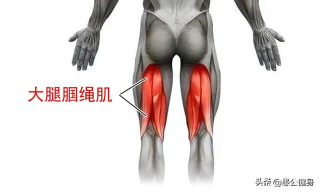 腿部训练10套最佳动作，增强腿部力量主要练哪些