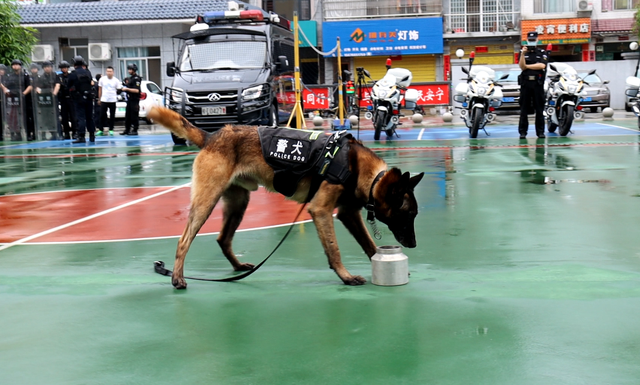 警用对讲机的简介和特点详情介绍，公安警用对讲机品牌（警宝收获特殊节日礼物）