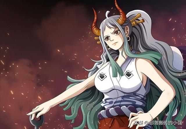 海贼王大和是谁，海贼王大和是谁的后官（《海贼王》大和是男是女）