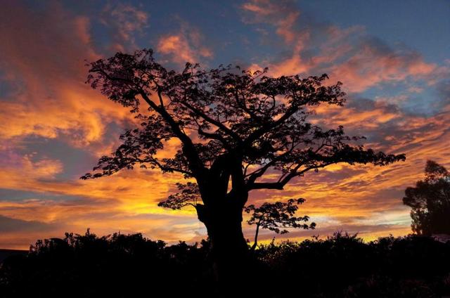 优美散文诗歌精选，优美的诗歌散文节选（来自塔里木《塔河文苑》的诗歌散文十篇）