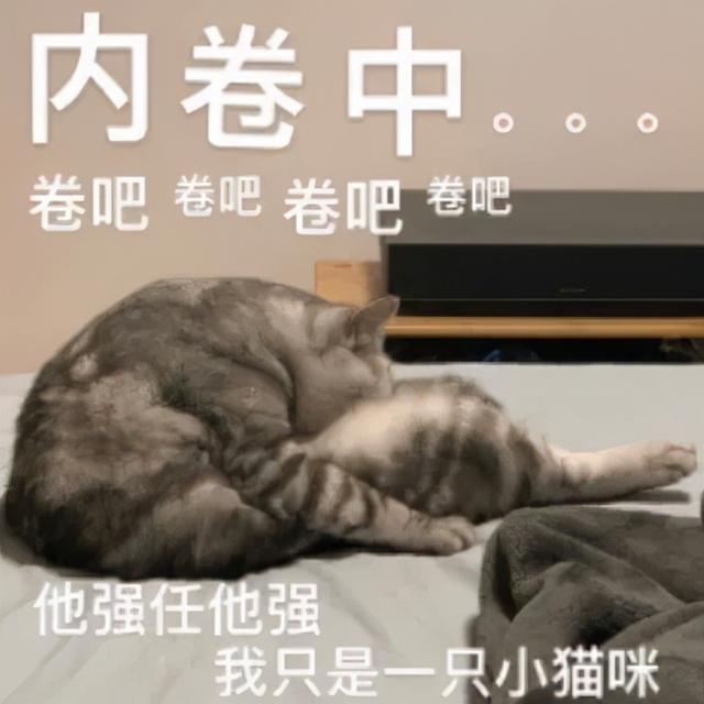 这些网络热词你还认识吗，今年这些网络热词你认识多少