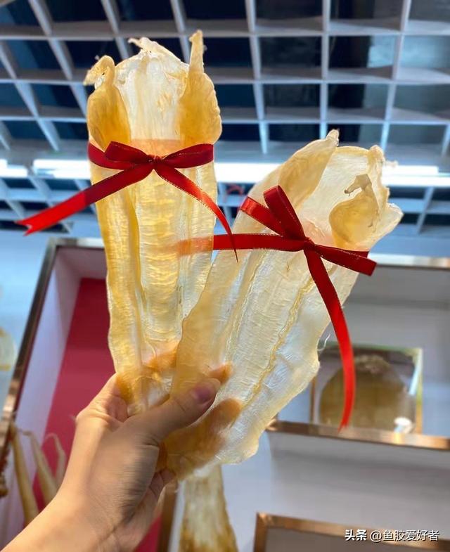 鱼胶品种怎么分的，鱼胶品种大全图片（今天鱼胶爱好者教你来挑选）