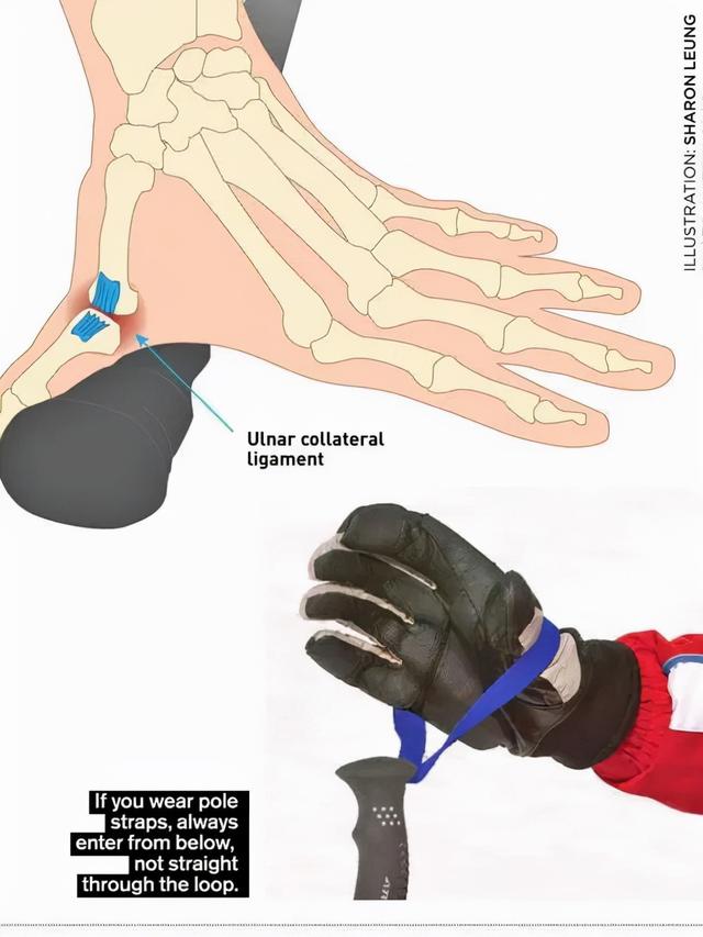 滑雪单板和双板哪个难，滑雪单板容易还是双板好学（你选单板or双板）