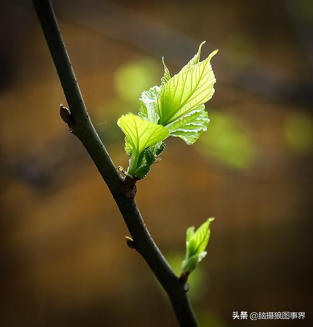 拍照片基本技巧，拍照片基本技巧和方法（可以提升照片的美感）