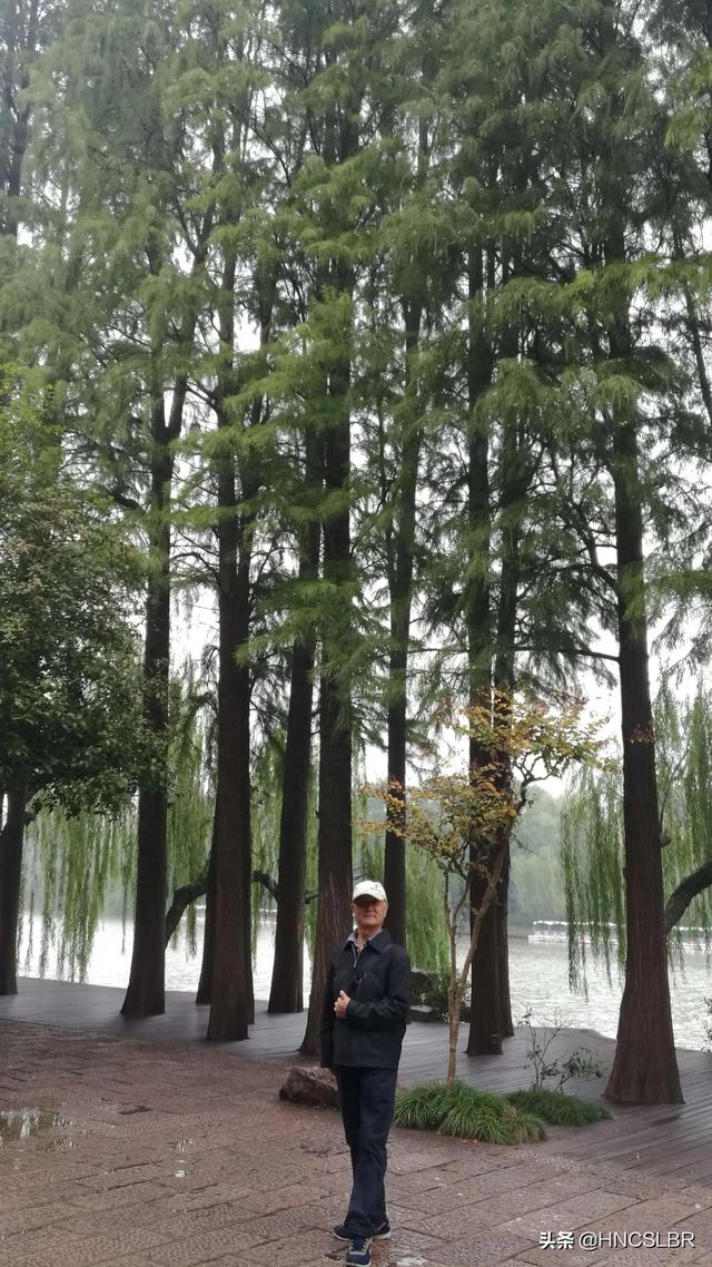 扬州瘦西湖介绍，扬州瘦西湖主要景点有哪些（扬州瘦西湖）