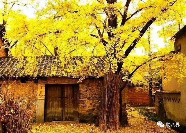 广东省内旅游攻略，广东10大最美自驾线路