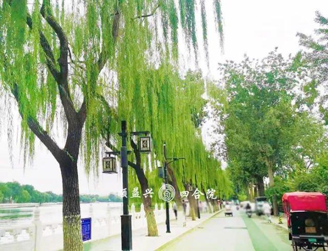 北京朝阳空中四合院出租，在繁花似锦的春天相约