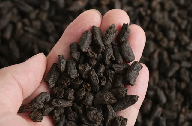 碎银子是什么茶，碎银子是什么茶图片（“妖茶”碎银子究竟是什么）
