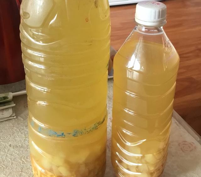 果皮怎么发酵做肥料，怎么用水果皮做种花肥料（吃剩下的水果皮别丢掉）