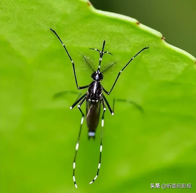 男生为啥不先表白就吻你，男生抱你亲你但没跟你表白过（看见就会发疯似地用嘴亲上你）