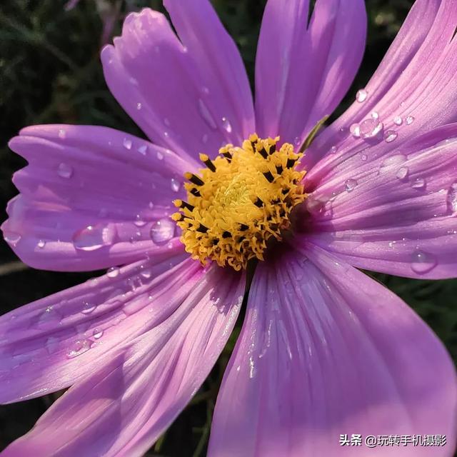 什么情况下拍照用HDR模式，拍照中的hdr是什么模式（你想不到的公园拍照技巧）