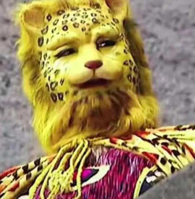 金钱豹头像图片，金钱豹头像✨微信（最全金钱豹头像！请叫我谢谢）