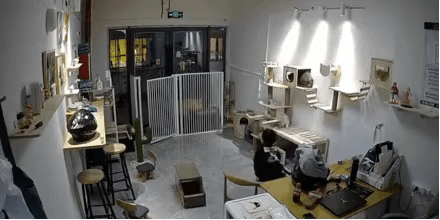 想想办法吧爸爸在哪里可以看，想想办法吧爸爸在哪里可以看到（看了那个持刀向父母的网瘾男孩）