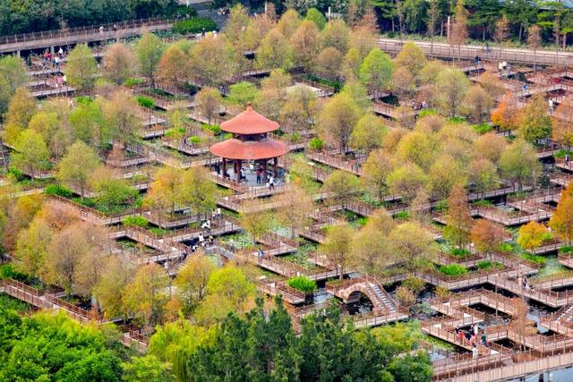 厦门十大家庭游好去处是什么，厦门家庭游攻略（10座公园让大人和小孩都可以愉快地玩耍）