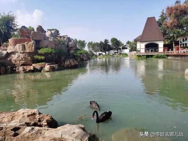 离我最近的酒店，天府国际机场贵宾室（泡温泉、爬山、室内外俩儿童乐园）