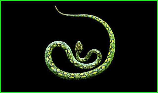 英文字母书写格式，大写的英文字母像什么