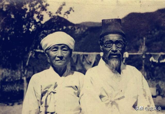 朝鲜的国花是什么花，朝鲜的国花是什么花嘞叫什么名字来着（志愿军战地记者来到三八线）