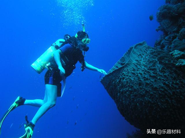 南沙群岛最大的自然岛屿是什么岛，南沙群岛最大的自然岛面积为0.43平方公里,其名字（中国只用一年将其扩大为36倍）