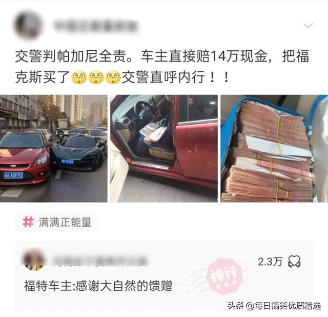 别扒拉我恐龙情侣头像，恐龙情头微信（神回复：这是什么样的古董）