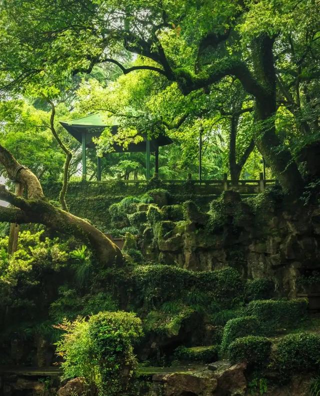 西湖旧十景和新十景，西湖新十景是哪十景（杭州西湖十景最详细攻略）