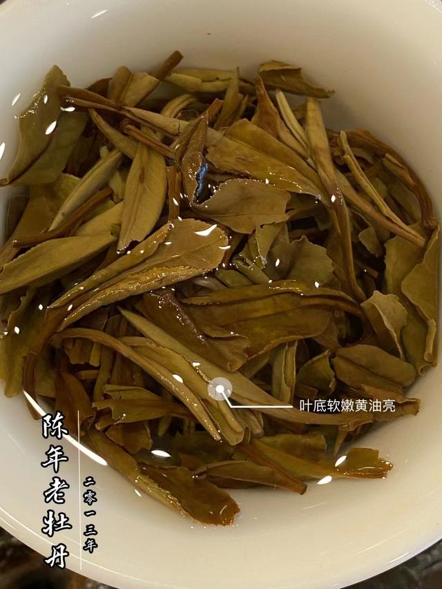 白茶的正确冲泡方法和技巧，白茶怎么泡才正确方法。好茶还需泡法全