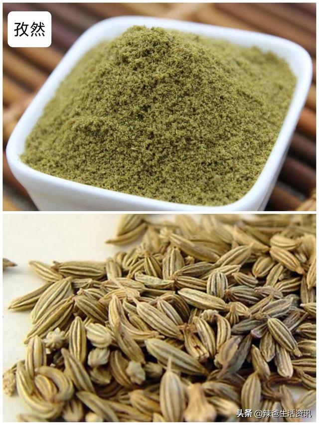 香料大全所有的香料名字，香料有多少种（厨房必备的8种香料）