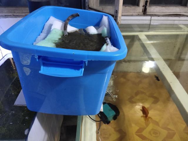 爆氧是什么意思，什么叫做爆氧（包括了下述的所有方式）