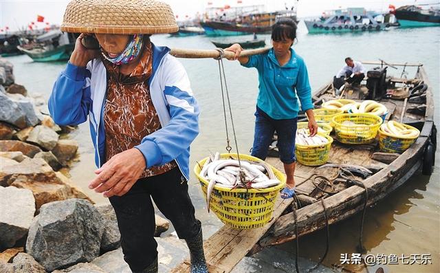 延的意思和含义是什么，廷怎么读音和组词（官媒点名“四种”钓具）