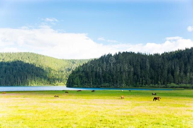 恩施几月份去旅游最好，恩施旅游什么时候最佳（适合七八月旅行的８座小城）
