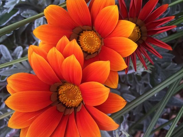 射手座和这3大星座缘分不浅，爱到痴狂（不好接近的三个星座）