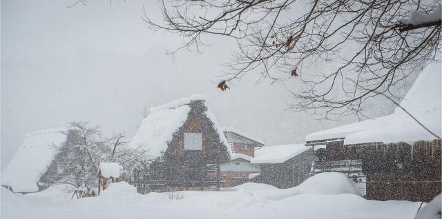 七九天是什么意思,七九是多少天(老人说"雪落七九头)