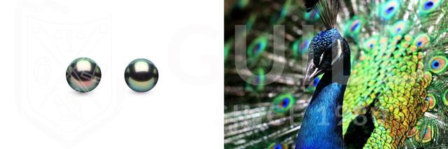 什么珍珠最好，什么珍珠最好看（看懂这4点就能买到高档次的珍珠）