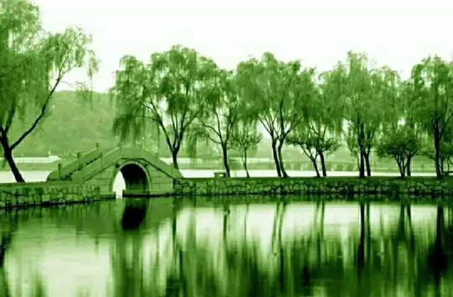 脸部骨头名称分布图，脸部的骨骼肌肉结构及面部审美（为何皮相见美丑，骨相显年轻）
