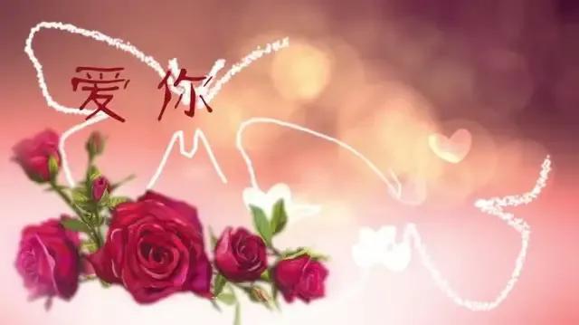 日语我爱你怎么说，日语我爱你怎么说中文翻译（“我爱你”的38种语言表达）