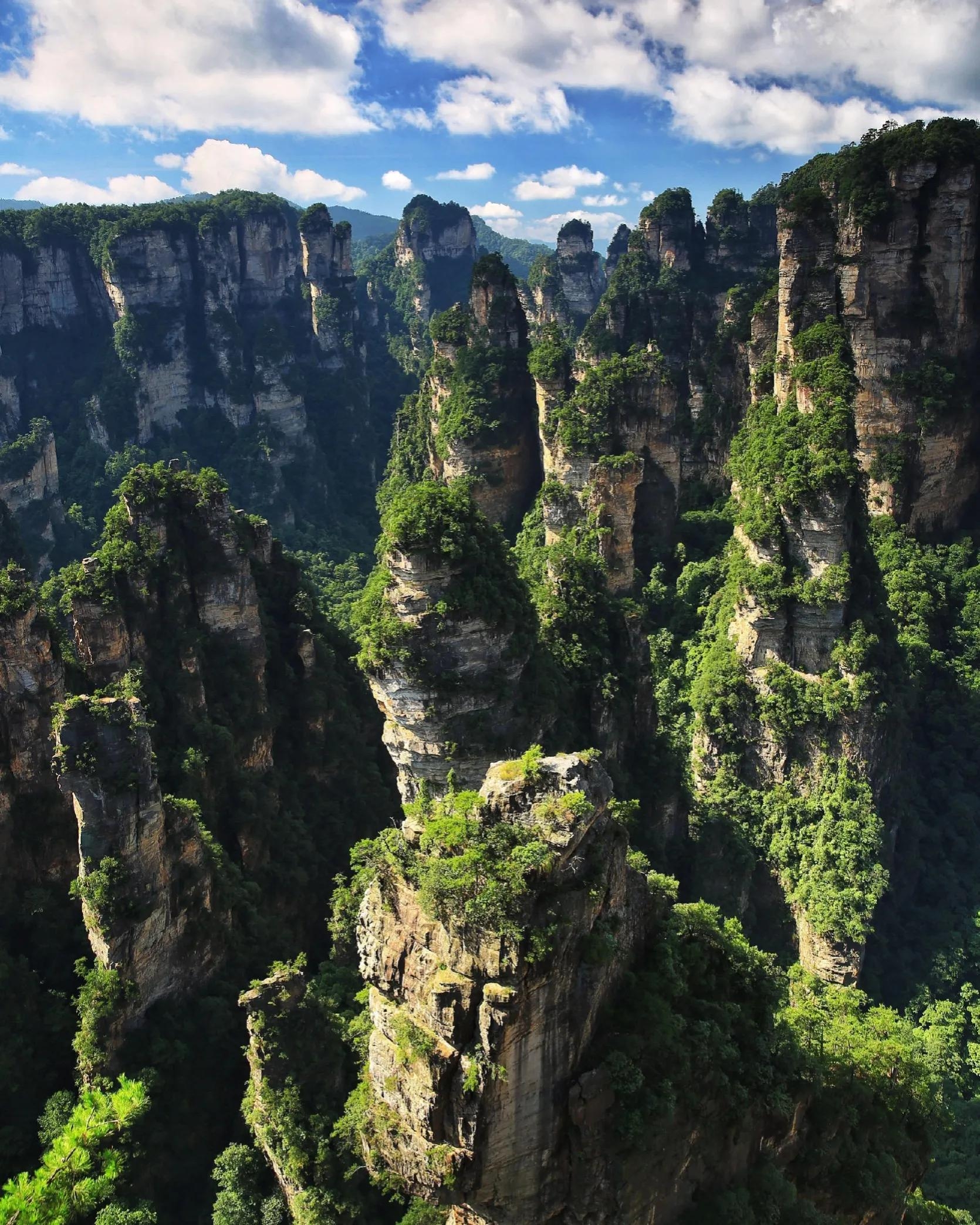张家界地貌是什么类型（张家界世界地质公园的景观类型）