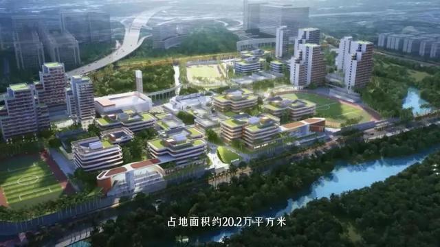 深圳四大名校高中，深圳四大名校高中地址（数理班、国际班都有）