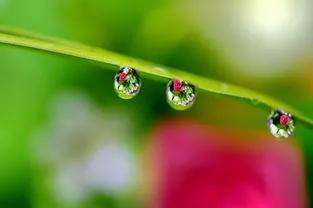 什么的美景，铺满金色巴掌的水泥道描写了什么（自然的美景，爱的诗篇）